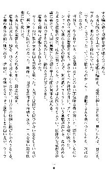 学園双剣艶舞2, 日本語