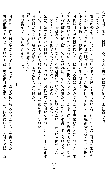 学園双剣艶舞2, 日本語