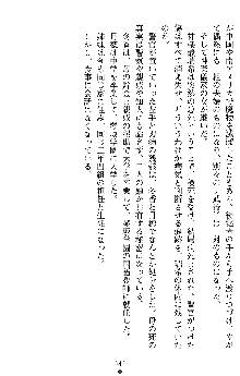 学園双剣艶舞2, 日本語