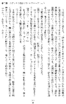 学園双剣艶舞2, 日本語