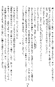 学園双剣艶舞2, 日本語