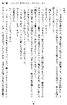 学園双剣艶舞2, 日本語