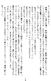 学園双剣艶舞2, 日本語