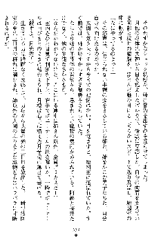 学園双剣艶舞2, 日本語