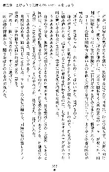 学園双剣艶舞2, 日本語