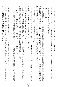 沙織 侍姫秘録, 日本語