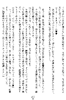 沙織 侍姫秘録, 日本語