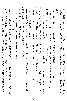 沙織 侍姫秘録, 日本語