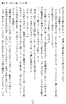 戦乙女ヴァルキリー2 ヒルデガード～堕つる大地～, 日本語