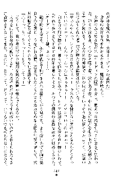 戦乙女ヴァルキリー2 ヒルデガード～堕つる大地～, 日本語