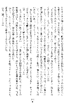 戦乙女ヴァルキリー2 ヒルデガード～堕つる大地～, 日本語