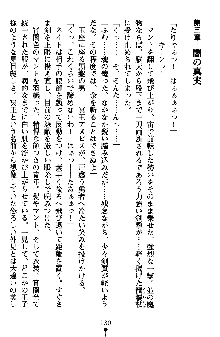 ネイトサーガ 淫邪に導かれし者たち, 日本語