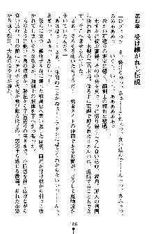 ネイトサーガ 淫邪に導かれし者たち, 日本語