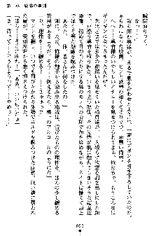 ネイトサーガ 淫邪に導かれし者たち, 日本語