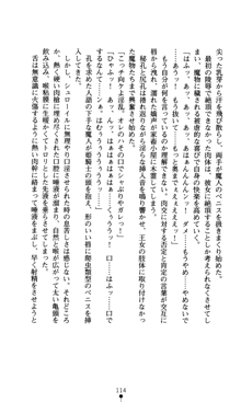 魔孕の姫騎士 屈辱の受胎, 日本語