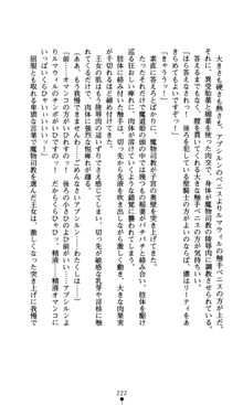 魔孕の姫騎士 屈辱の受胎, 日本語