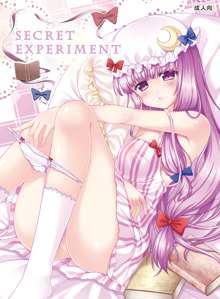 SECRET EXPERIMENT, 日本語