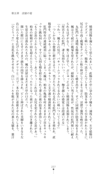 魔術師とアルカナの化身Ⅱ, 日本語