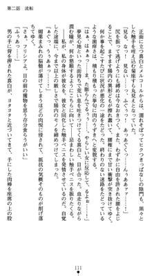 守護聖女プリズムセイバー 乙女たちの散華, 日本語