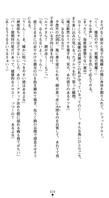 守護聖女プリズムセイバー 乙女たちの散華, 日本語