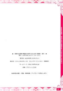 萌東方幻想郷 博麗処女結界 EVOLVED 体験版, 日本語