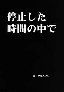 停止した時間の中で, 日本語