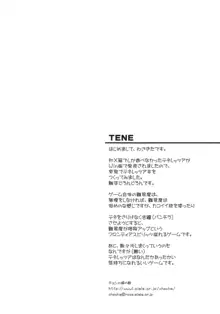 TeNe, 日本語