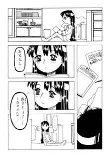 空とぶ妹, 日本語