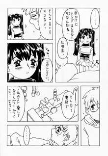 空とぶ妹, 日本語