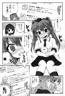 パンツ画像が100RTされたらはたてちゃん○○してくれるってよ, 日本語