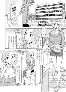 危ない人妻  祥子の冒険, 日本語