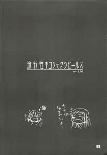 流行性ネコシャクシビールス, 日本語