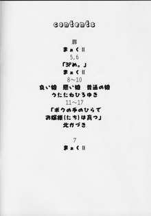 いやんバカンス, 日本語