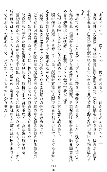 闘姫陵辱オリジナル短編小説集 スレイブクイーンズ, 日本語