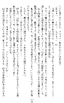 闘姫陵辱オリジナル短編小説集 スレイブクイーンズ, 日本語