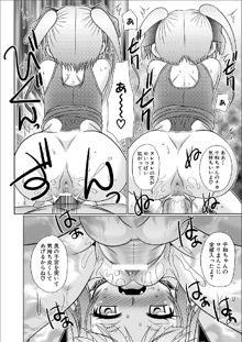 Tsukumimi chapter 14, 日本語