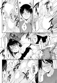 Triangle advisory Ch.1-3, 日本語