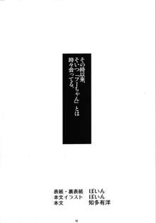 Angel's stroke 63 ゴムつけたりナマだったり 沖田紗羽援交日記, 日本語