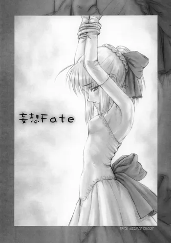 妄想Fate, 日本語