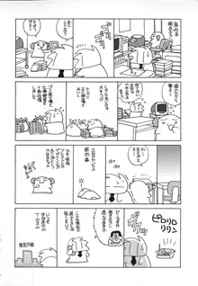 裸の人形, 日本語