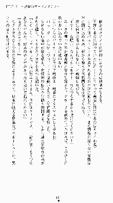 私立探偵高須賀エリカの事件簿Ⅱ 痴情派AV撮影24時, 日本語