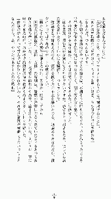 私立探偵高須賀エリカの事件簿Ⅱ 痴情派AV撮影24時, 日本語