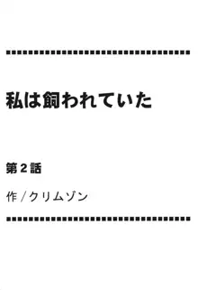 虚空総集編, 日本語