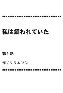 虚空総集編, 日本語