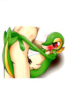 I Love Snivy, 日本語