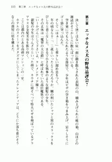 不死の吸血姫がドSのご主人様を募集しているようです, 日本語