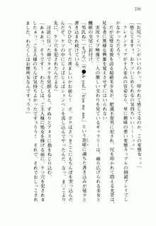 不死の吸血姫がドSのご主人様を募集しているようです, 日本語