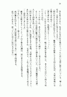 不死の吸血姫がドSのご主人様を募集しているようです, 日本語