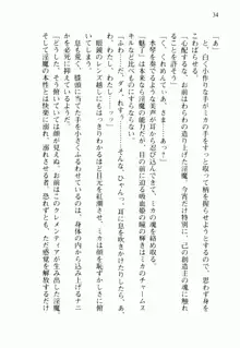 不死の吸血姫がドSのご主人様を募集しているようです, 日本語