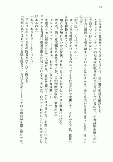 不死の吸血姫がドSのご主人様を募集しているようです, 日本語